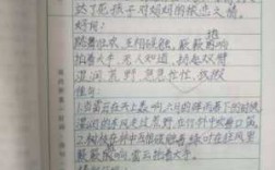 知识在于积累这篇短文（知识在于积累阅读答案）