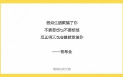 打击人的短文（打击人的文案）