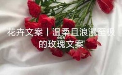 关于鲜花的唯美短文（关于鲜花的唯美文案）