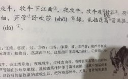 古诗牧童怎么写短文（古诗改成短文怎么写）