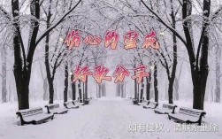 雪花忧伤短文（雪花伤感文案）