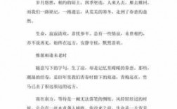 精美的短文（精美的短文章）