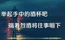 烈酒短文说说（烈酒的感受）