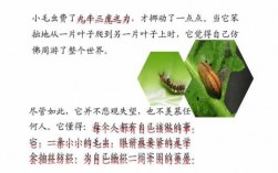 阅读短文小毛虫（短文小毛虫告诉我们什么道理）