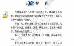 短文春蚕原文（春蚕这篇阅读短文答案）