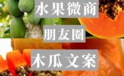 水果短文案（水果的文案怎么写好）