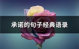 遵守承诺短文答案（遵守承诺的句子经典语录）