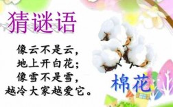 棉花阅读短文（棉花 阅读理解）