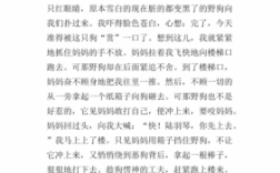 关于亲情短文答案（关于亲情的阅读理解）