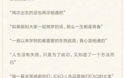 exo成长短文（关于exo12个人的文案）