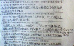 恨短文阅读及答案（恨这篇文章的主要内容）