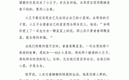 小王子短文（小王子的文章）