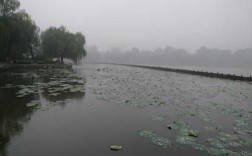 雨中的湖短文（雨中的湖面）