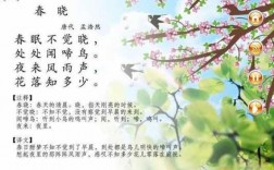 春晓的脚步阅读短文（春晓）