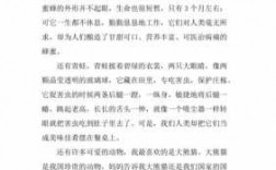 动物的文章短文（关于动物的文章简介）