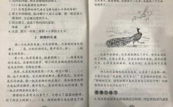 阅读短文骄傲的孔雀（小学语文骄傲的孔雀）