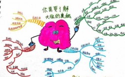 短文大脑的秘密（大脑的秘密思维导图）