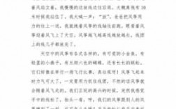 放风筝的短文及答案（放风筝的阅读理解答案）