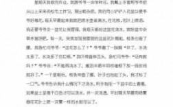 中国橘红短文（橘红作文500字）