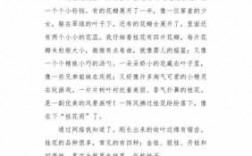 公园桂花短文（美丽的桂花公园作文250字）