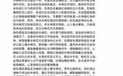 关于木棉的短文（关于木棉的文案）