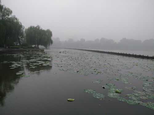 雨中的湖短文（雨中的湖面）-图1