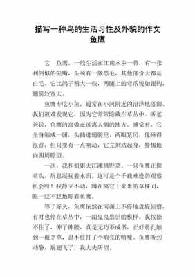 鸬鹚短文题解（鸬鹚短文阅读理解）-图3