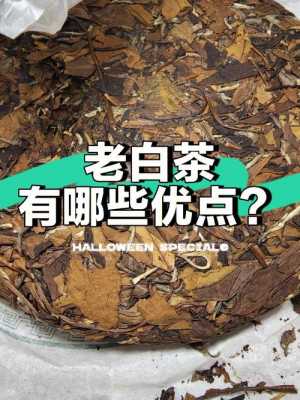 介绍白茶的小短文（如何介绍白茶的品饮）-图1