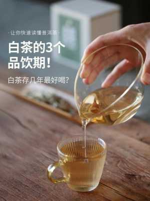 介绍白茶的小短文（如何介绍白茶的品饮）-图2