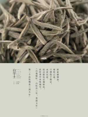 介绍白茶的小短文（如何介绍白茶的品饮）-图3