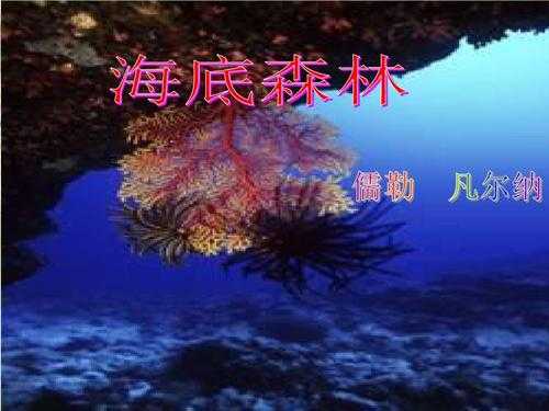 海底森林短文（海底森林）-图1