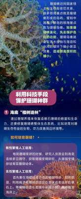 海底森林短文（海底森林）-图3