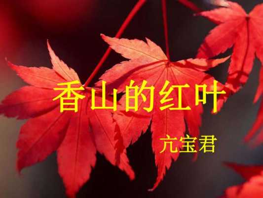 香山的红叶短文（香山的红叶阅读）-图1