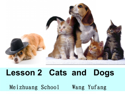 dogandcat短文（the cats and the dogs）-图2