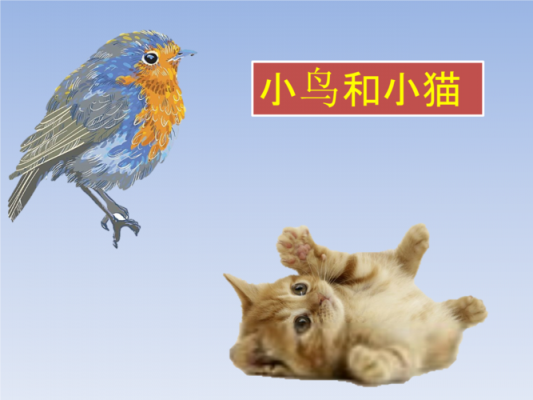帮助小猫的短文（热心的小猫帮助小鸟）-图2