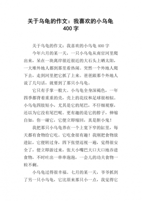 小乌龟的短文（小乌龟的短文三年级）-图2