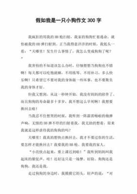 假如我是小狗短文（假如我是小狗作文200字）-图1