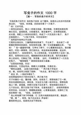 野兔的短文（野兔短文阅读理解）-图1