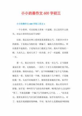 短文小小的善（小小的善阅读理解）-图1