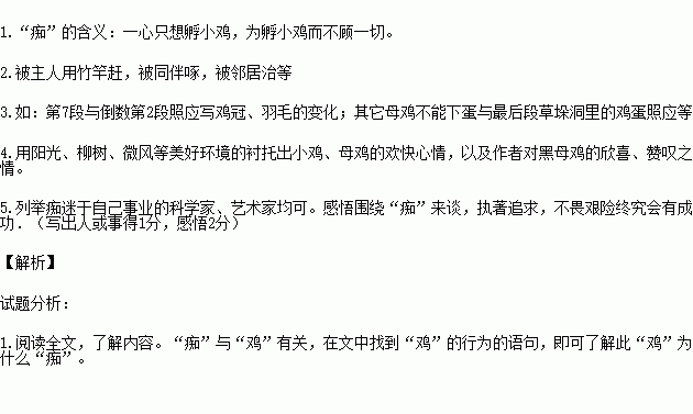 母鸡短文答案（母鸡短文阅读答案）-图3