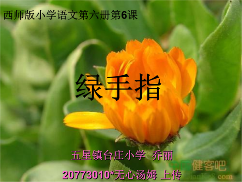 绿手指短文沮丧（绿手指节选短文中的比喻句）-图1