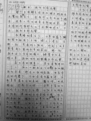 宝贵时间短文（宝贵的时间作文100字）-图3