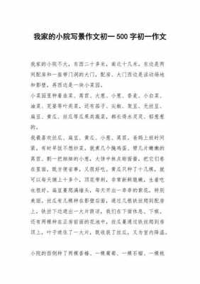 短文我家的小院（我家的小院原文）-图2