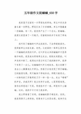 抓蟋蟀短文（捉蟋蟀片段）-图2