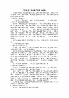 捉迷藏游戏短文（捉迷藏游戏作文200字作文）-图3