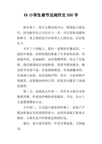 过年购物短文（过年购物感受）-图3