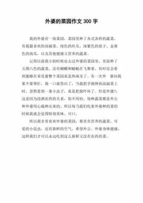 我家的菜园短文答案（我家的菜园的阅读答案）-图1