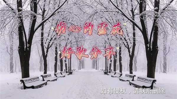 雪花忧伤短文（雪花伤感文案）-图1