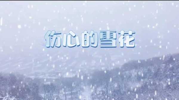 雪花忧伤短文（雪花伤感文案）-图3