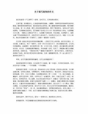 狼狗的短文（关于狼狗的作文）-图1